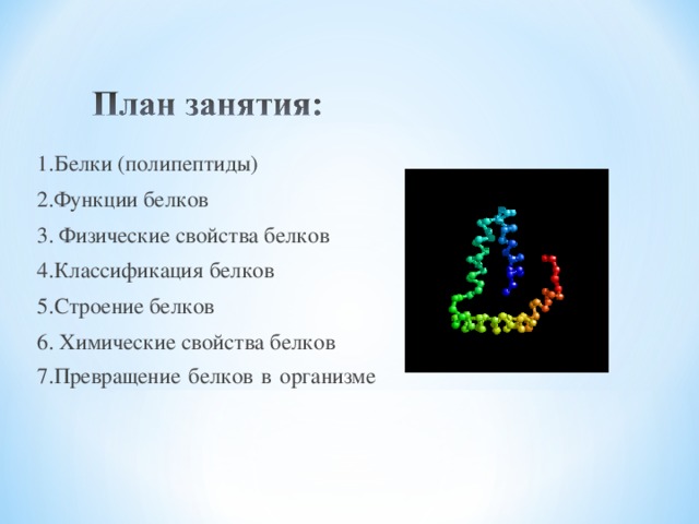 1.Белки (полипептиды) 2.Функции белков 3. Физические свойства белков 4.Классификация белков 5.Строение белков 6. Химические свойства белков 7.Превращение белков в организме   