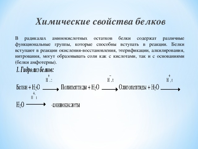 Химические свойства белков В радикалах аминокислотных остатков белки содержат различные функциональные группы, которые способны вступать в реакции. Белки вступают в реакции окисления-восстановления, этерификации, алкилирования, нитрования, могут образовывать соли как с кислотами, так и с основаниями (белки амфотерны). 