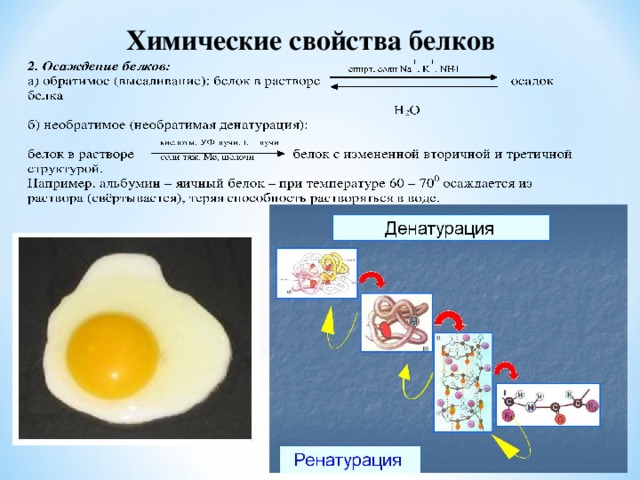 Химические свойства белков 