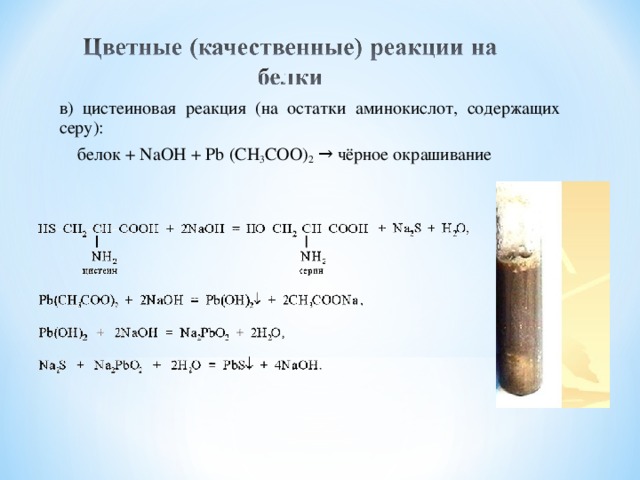 в) цистеиновая реакция (на остатки аминокислот, содержащих серу):  белок + NaOH + Pb ( CH 3 COO ) 2 → чёрное окрашивание 