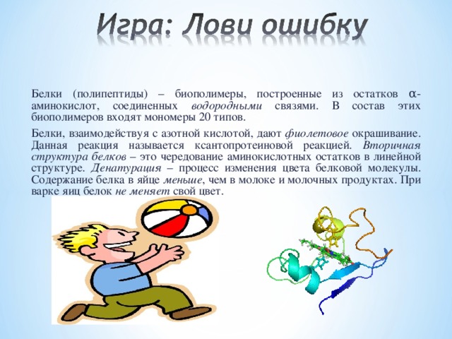 Белки (полипептиды) – биополимеры, построенные из остатков α-аминокислот, соединенных водородными связями. В состав этих биополимеров входят мономеры 20 типов. Белки, взаимодействуя с азотной кислотой, дают фиолетовое окрашивание. Данная реакция называется ксантопротеиновой реакцией. Вторичная структура белков – это чередование аминокислотных остатков в линейной структуре. Денатурация – процесс изменения цвета белковой молекулы. Содержание белка в яйце меньше , чем в молоке и молочных продуктах. При варке яиц белок не меняет свой цвет. 