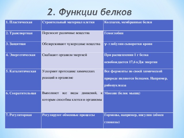 1. Пластическая Строительный материал клетки 2. Транспортная Коллаген, мембранные белки Переносят различные вещества 3. Защитная Гемоглобин Обезвреживают чужеродные вещества 4. Энергетическая 5. Каталитическая Снабжают организм энергией γ- глобулин сыворотки крови При расщеплении 1 г белка освобождается 17,6 кДж энергии Ускоряют протекание химических реакций в организме 6. Сократительная Все ферменты по своей химической природе являются белками. Например, рибонуклеаза Выполняет все виды движений, к которым способны клетки и организмы 7. Регуляторная Миозин (белок мышц) Регулируют обменные процессы Гормоны, например, инсулин (обмен глюкозы) 