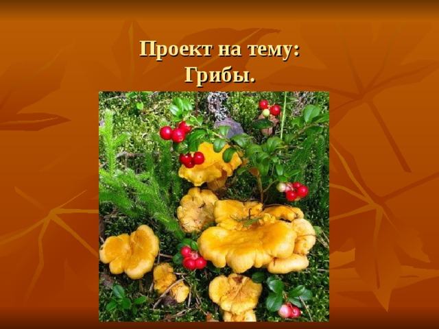 Проект на тему:  Грибы. 