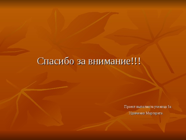  Спасибо за внимание!!!  Проект выполнила ученица 5а  Удовченко Маргарита. 