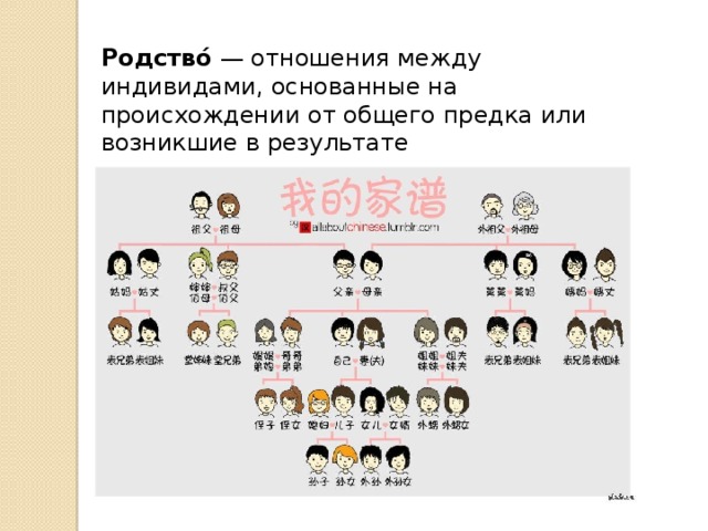 Родство́  — отношения между индивидами, основанные на происхождении от общего предка или возникшие в результате заключения брака, организующие социальные группы и роли. 