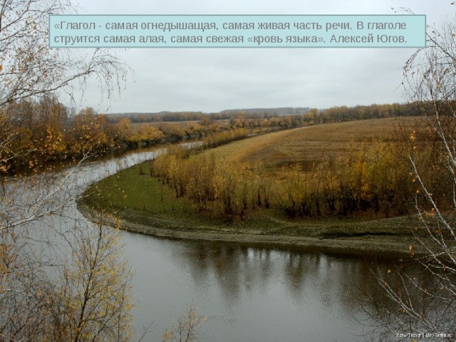«Глагол - самая огнедышащая, самая живая часть речи. В глаголе струится самая алая, самая свежая «кровь языка». Алексей Югов.