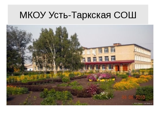МКОУ Усть-Таркская СОШ