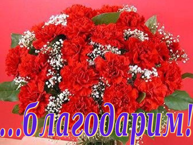Красные гвоздики   