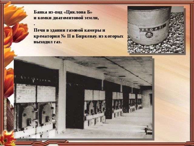 Банка из-под «Циклона Б» и комки диатомитовой земли, . Печи в здании газовой камеры и крематория № II в Биркенау. из которых выходил газ. 