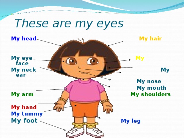 .  These are my eyes My head   My hair   My eye My face My neck My ear  My nose  My mouth My arm My shoulders  My hand My tummy My foot  My leg       