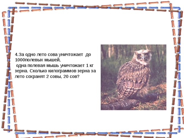 4.За одно лето сова уничтожает до 1000полевых мышей,  одна полевая мышь уничтожает 1 кг зерна. Сколько килограммов зерна за лето сохранят 2 совы, 20 сов? 