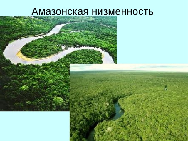 Амазонская низменность  