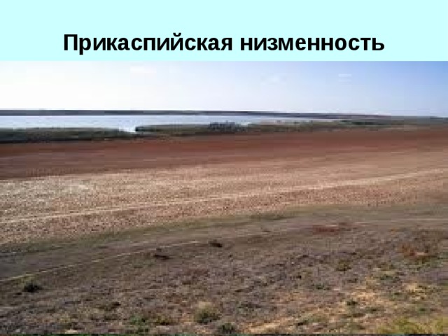 Прикаспийская низменность  