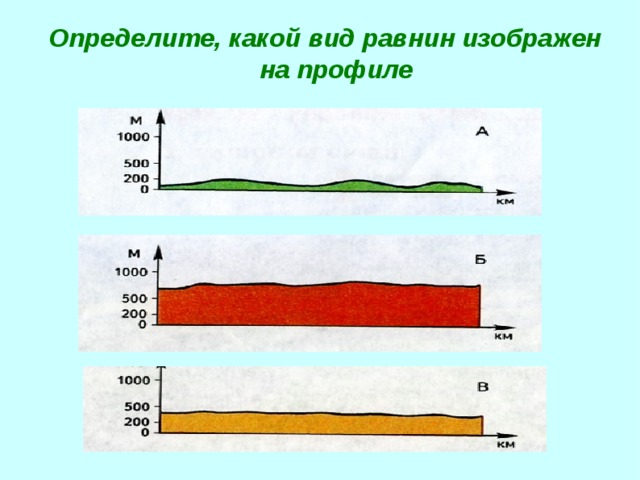 Определите, какой вид равнин изображен на профиле  