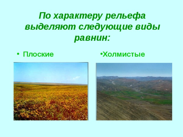 По характеру рельефа выделяют следующие виды равнин: Плоские Холмистые  