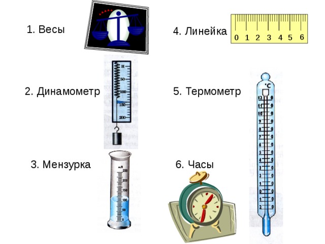 1. Весы 4. Линейка 2. Динамометр 5. Термометр 3. Мензурка 6. Часы