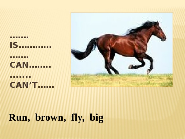 …… . Is…………  ……. Can……..  ....... Can’t…… Run, brown, fly, big 