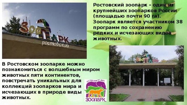 Ростовский зоопарк - один из крупнейших зоопарков России (площадью почти 90 га).  Зоопарк является участником 38 программ по сохранению редких и исчезающих видов животных. В Ростовском зоопарке можно познакомиться с волшебным миром животных пяти континентов, повстречать уникальных для коллекций зоопарков мира и исчезающих в природе виды животных.  