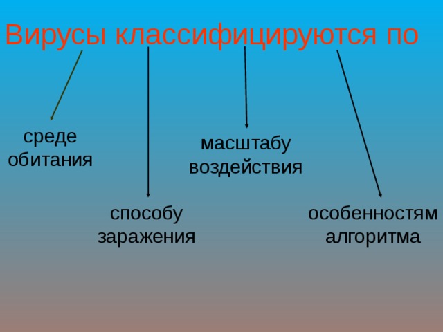 Вирусы классифицируются по среде обитания масштабу воздействия способу заражения особенностям алгоритма 
