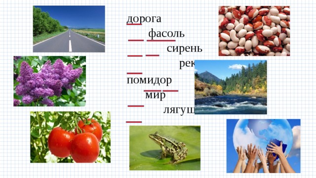 дорога фасоль сирень река помидор мир лягушка 