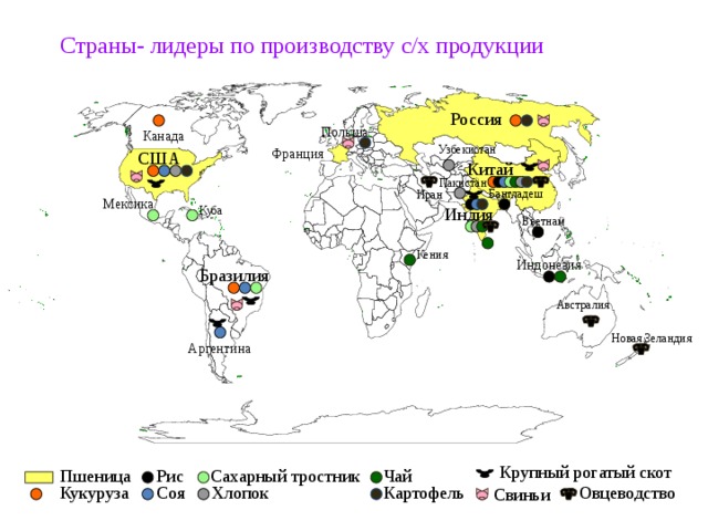 Страны- лидеры по производству с/х продукции Россия Польша Канада Узбекистан Франция США Китай Пакистан Бангладеш Иран Мексика Индия Куба Вьетнам Кения Индонезия Бразилия Австралия Новая Зеландия Аргентина Крупный рогатый скот Пшеница Рис Сахарный тростник Чай Кукуруза Хлопок Соя Картофель Овцеводство Свиньи 