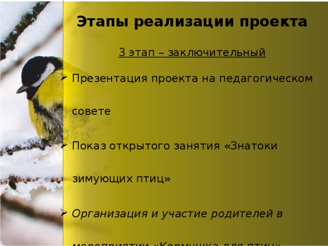 Этапы реализации проекта 3 этап – заключительный Презентация проекта на педагогическом совете Показ открытого занятия «Знатоки зимующих птиц» Организация и участие родителей в мероприятии «Кормушка для птиц». 
