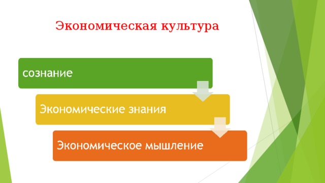  Экономическая культура 