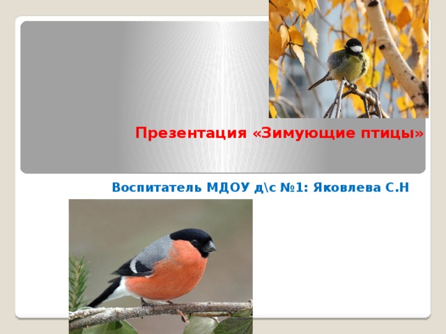 Презентация «Зимующие птицы»    Воспитатель МДОУ д\с №1: Яковлева С.Н  