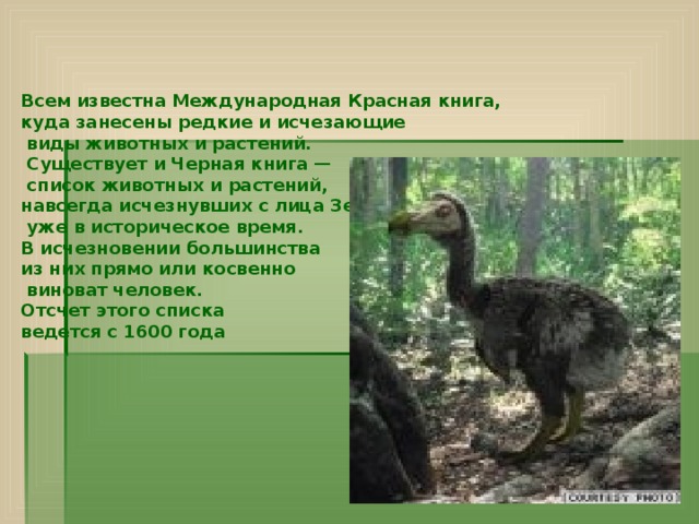 Всем известна Международная Красная книга, куда занесены редкие и исчезающие  виды животных и растений.  Существует и Черная книга —  список животных и растений, навсегда исчезнувших с лица Земли  уже в историческое время. В исчезновении большинства из них прямо или косвенно  виноват человек. Отсчет этого списка ведется с 1600 года  