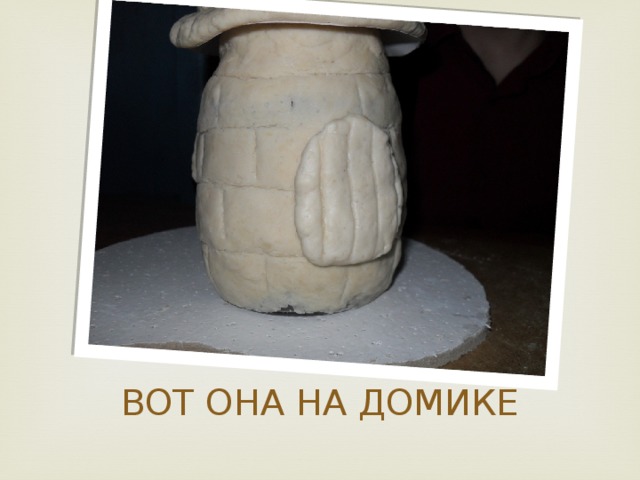 ВОТ ОНА НА ДОМИКЕ 