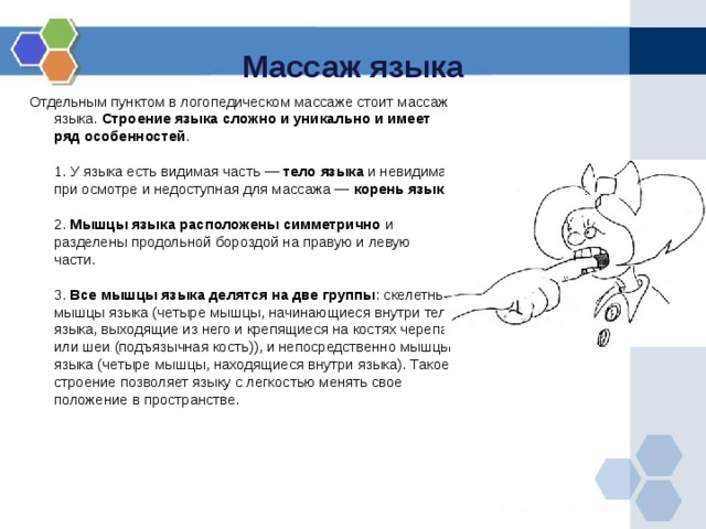 Массаж языка Отдельным пунктом в логопедическом массаже стоит массаж языка. Строение языка сложно и уникально и имеет ряд особенностей .   1. У языка есть видимая часть — тело языка и невидимая при осмотре и недоступная для массажа — корень языка .   2. Мышцы языка расположены симметрично и разделены продольной бороздой на правую и левую части.   3. Все мышцы языка делятся на две группы : скелетные мышцы языка (четыре мышцы, начинающиеся внутри тела языка, выходящие из него и крепящиеся на костях черепа или шеи (подъязычная кость)), и непосредственно мышцы языка (четыре мышцы, находящиеся внутри языка). Такое строение позволяет языку с легкостью менять свое положение в пространстве.      
