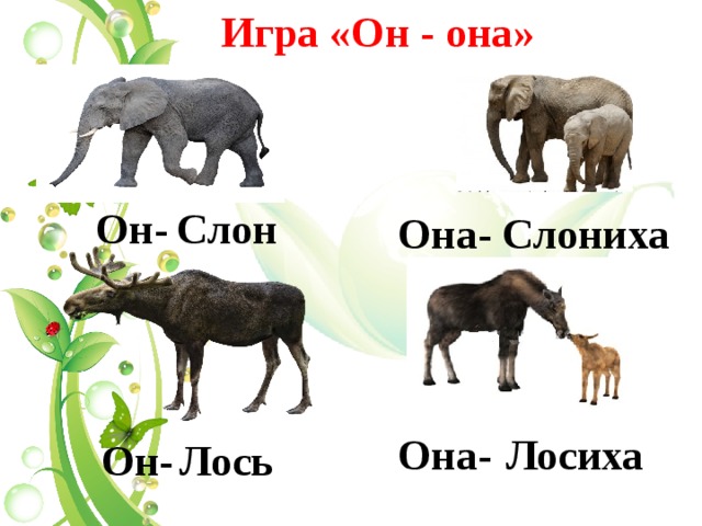  Игра «Он - она» Слон  Он- Слониха Она- Она- Лосиха  Он- Лось 