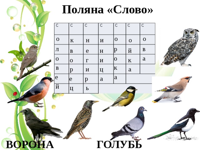  Поляна «Слово»     о  о  о  р  в  л  а  о  о  к  в  а  е  й      о  к  н  и  в  й  н  е  и  о  к  г  и  ц  р  а  а  р  е  ь  ц С С С С С С С        ВОРОНА  ГОЛУБЬ 
