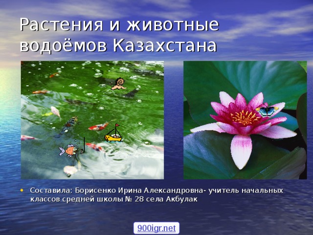 Растения и животные водоёмов Казахстана Составила: Борисенко Ирина Александровна- учитель начальных классов средней школы № 28 села Акбулак 900igr.net 