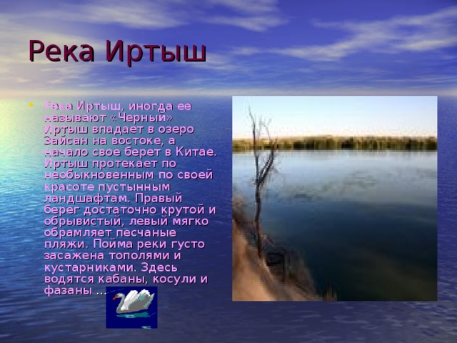 Река Иртыш Река Иртыш, иногда ее называют «Черный» Иртыш впадает в озеро Зайсан на востоке, а начало свое берет в Китае. Иртыш протекает по необыкновенным по своей красоте пустынным ландшафтам. Правый берег достаточно крутой и обрывистый, левый мягко обрамляет песчаные пляжи. Пойма реки густо засажена тополями и кустарниками. Здесь водятся кабаны, косули и фазаны ... 