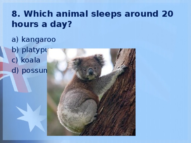 8. Which animal sleeps around 20 hours a day? a) kangaroo b) platypus c) koala d) possum 