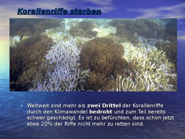 Korallenriffe sterben   Weltweit sind mehr als zwei Drittel der Korallenriffe durch den Klimawandel bedroht und zum Teil bereits schwer gesch ä digt. Es ist zu bef ü rchten, dass schon jetzt etwa 20% der Riffe nicht mehr zu retten sind. 