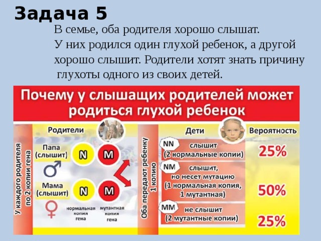 Задача 5 В семье, оба родителя хорошо слышат. У них родился один глухой ребенок, а другой хорошо слышит. Родители хотят знать причину  глухоты одного из своих детей. 