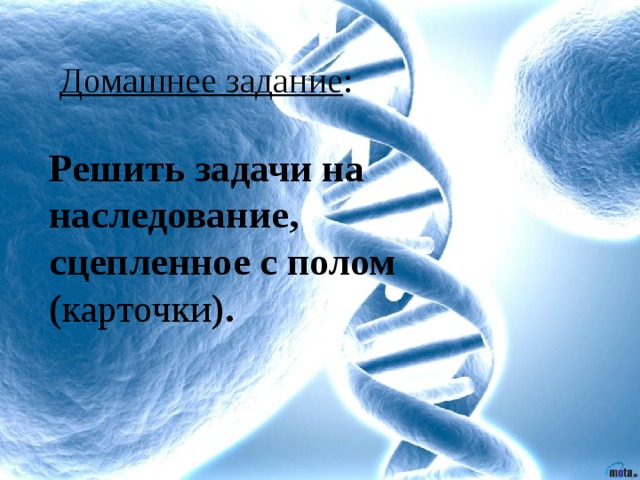 Домашнее задание : Решить задачи на наследование, сцепленное с полом ( карточки ). 