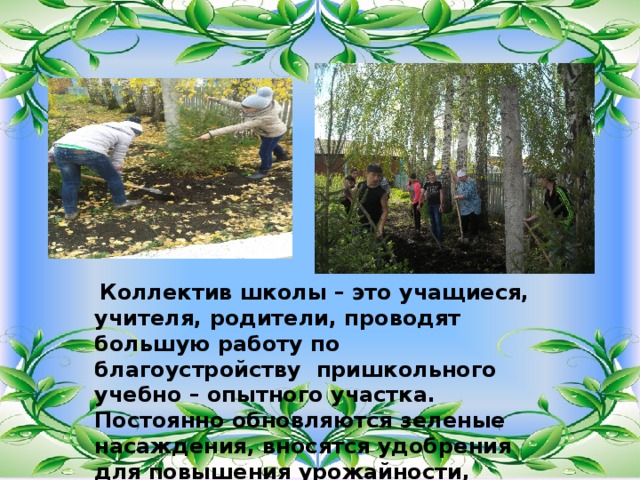  Коллектив школы – это учащиеся, учителя, родители, проводят большую работу по благоустройству пришкольного учебно – опытного участка. Постоянно обновляются зеленые насаждения, вносятся удобрения для повышения урожайности, прикладываются усилия для разнообразия растений. 