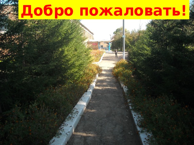 Добро пожаловать! 
