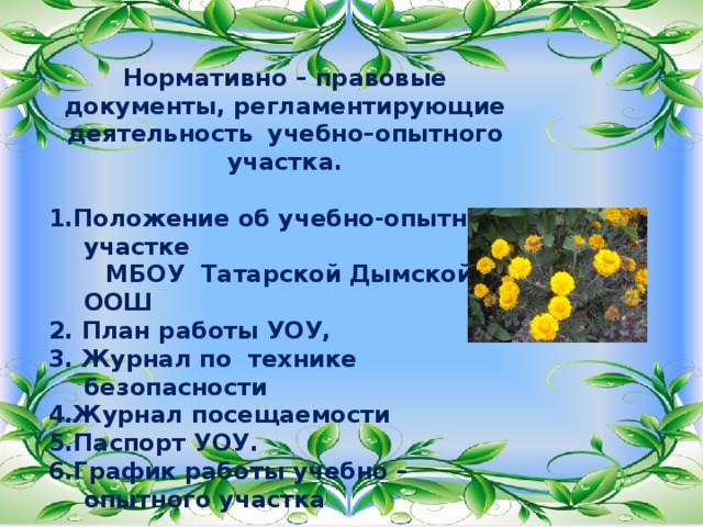 Нормативно – правовые документы, регламентирующие деятельность  учебно–опытного участка.  1.Положение об учебно-опытном участке  МБОУ Татарской Дымской ООШ 2. План работы УОУ, 3. Журнал по технике безопасности 4.Журнал посещаемости 5.Паспорт УОУ. 6.График работы учебно – опытного участка 