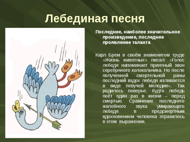 Лебединая песня Последнее, наиболее значительное произведение, последнее проявление таланта  Карл Брем в своём знаменитом труде «Жизнь животных» писал: «Голос лебедя напоминает приятный звон серебряного колокольчика. Но после полученной смертельной раны последний вздох лебедя изливается в виде певучей мелодии». Так родилось поверье, будто лебедь поёт один раз в жизни – перед смертью. Сравнение последнего жалобного звука умирающего лебедя в предсмертным вдохновением человека отразилось в этом выражении. 