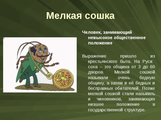 Мелкая сошка Человек, занимающий невысокое общественное положение  Выражение пришло из крестьянского быта. На Руси соха – это община от 3 до 60 дворов. Мелкой сошкой называли очень бедную общину, а затем и её бедных и бесправных обитателей. Позже мелкой сошкой стали называть и чиновников, занимающих низшее положение в государственной структуре. 