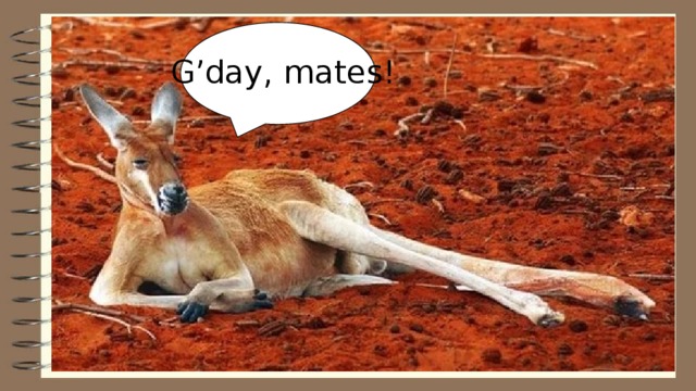 G’day, mates! 