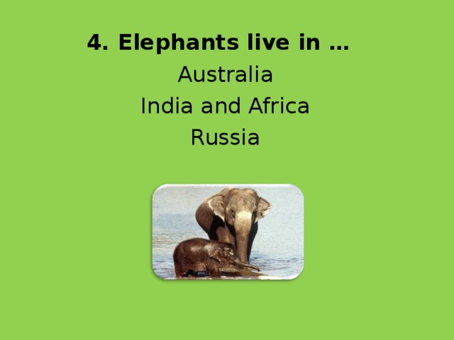 4.  Elephants live in …  Australia  India and Africa  Russia 