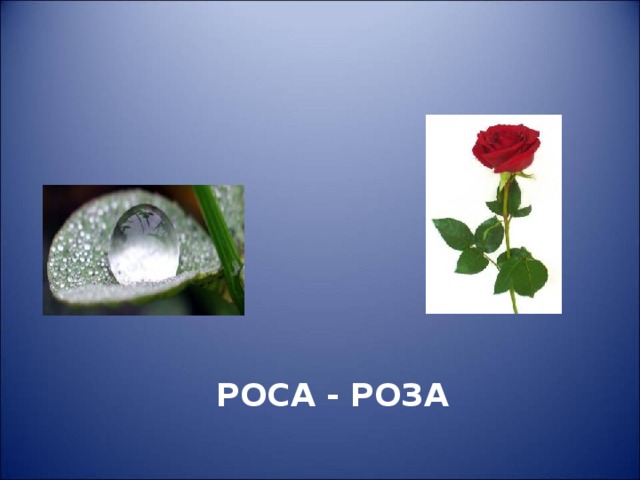  РОСА - РОЗА 