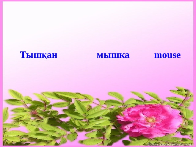 Тышқан мышка mouse 