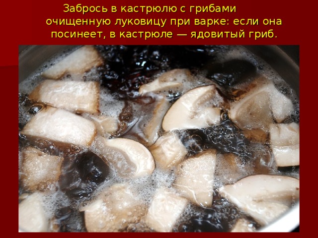 Забрось в кастрюлю с грибами очищенную луковицу при варке: если она посинеет, в кастрюле — ядовитый гриб.   