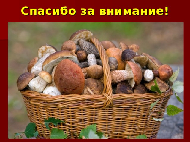 Спасибо за внимание! 